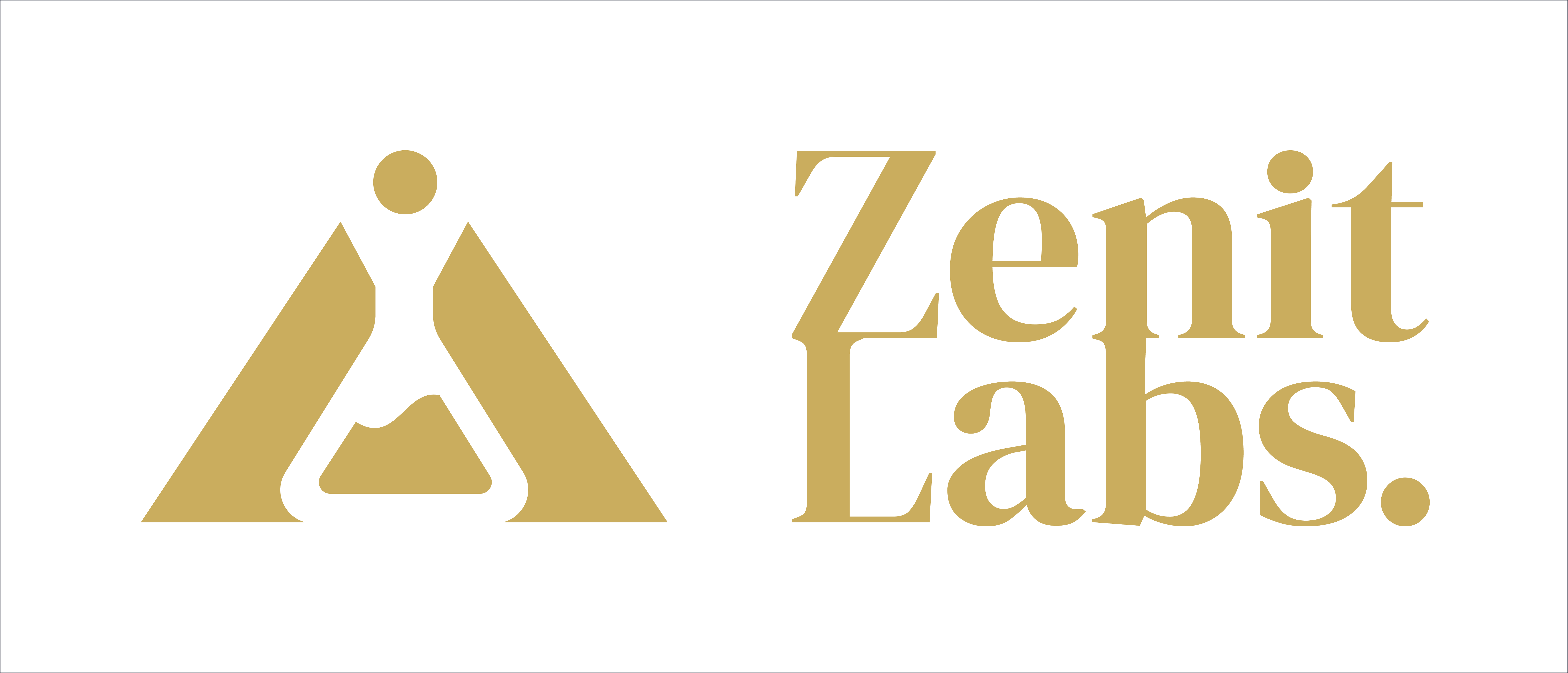 Zenit Labs